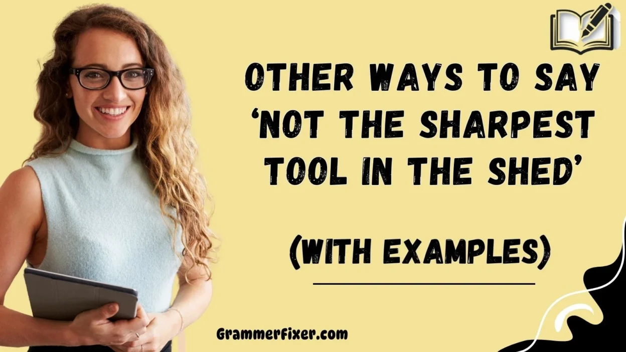 Other Ways to Say ‘Not the Sharpest Tool in the Shed’