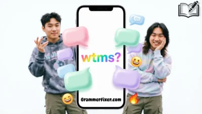 WTMS Meaning in Text